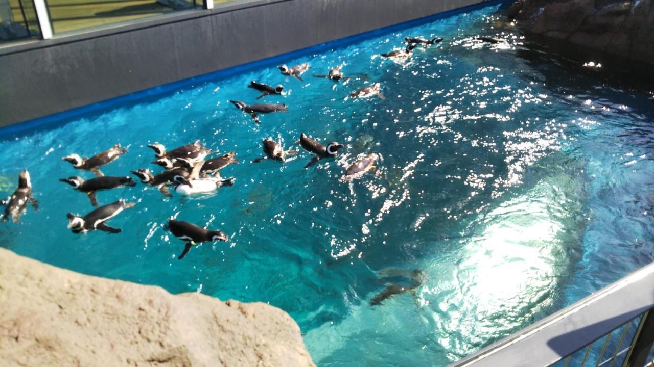 Oyo Joetsu City Hotel Kasugayama Εξωτερικό φωτογραφία